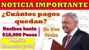 Pensión Bienestar: ¿Cuántos pagos faltan por entregar este año 2024?