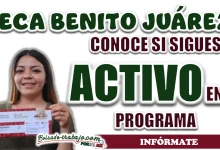 BECA BENITO JUÁREZ| ¿CÓMO SABER SI SIGO ACTIVO EN EL PROGRAMA?