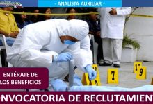 Convocatoria Analista Auxiliar en la Universidad Mexiquense de Seguridad