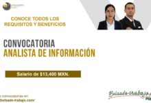 Analista de Información en Puebla