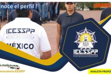 Convocatoria Analista Profesional en el IEESSPP, Michoacán