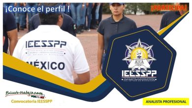 Convocatoria Analista Profesional en el IEESSPP, Michoacán