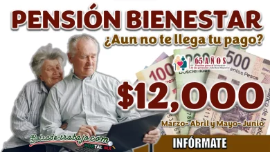 PENSIÓN BIENESTAR| ¿AÚN NO RECIBES TU GRAN PAGO DE FEBRERO?