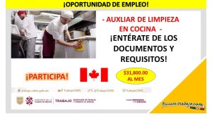 Empleo de Auxiliar de Limpieza en Cocina, Canadá