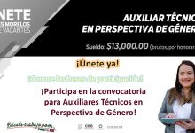 Convocatoria Auxiliar Técnico en Perspectiva de Género para CES Morelos