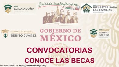 Becas en México 2023-2024