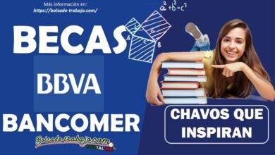 Beca BBVA