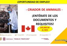 Convocatoria Criador de Animales en Canadá