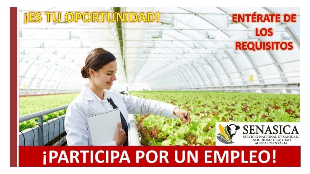 Empleo en Departamento de Control Sanitario