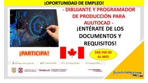 Empleo de Dibujante y Programador de Producción para AutoCAD, Canadá