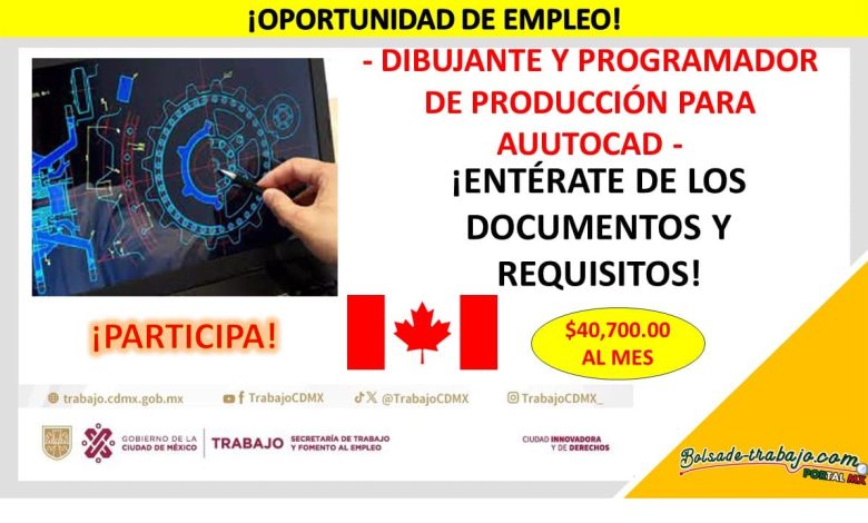 Empleo de Dibujante y Programador de Producción para AutoCAD, Canadá