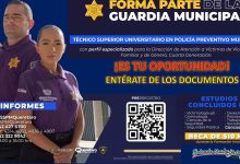Convocatoria Dirección de Atención a Victimas de Violencia Familiar y de Género, Querétaro