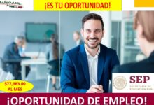 Empleo en Dirección de empleo, Ciudad de México