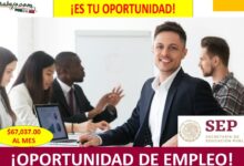 Empleo en Dirección de Normatividad y Relaciones Laborales, Ciudad de México