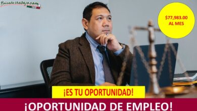 Empleo en Dirección Ejecutiva contra Riesgos Sanitarios de la COFEPRIS