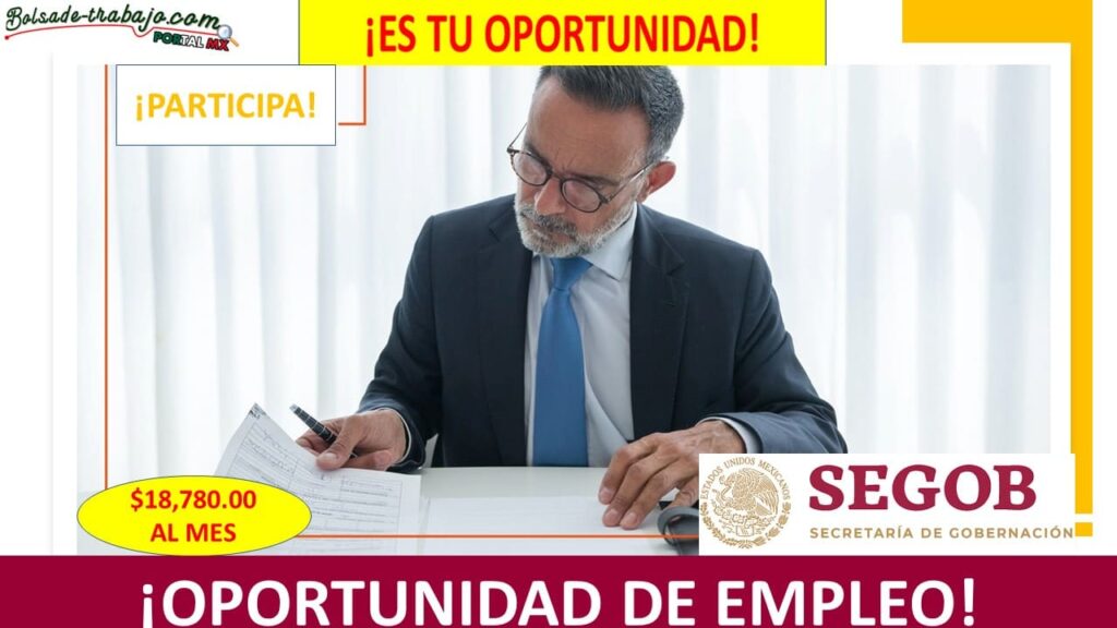 Empleo de Ejecutivo de Indicadores de TIC, Ciudad de México