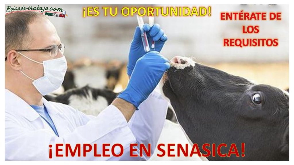 Empleo de Enlace de Coordinación de Organismos Auxiliares de Sanidad Animal