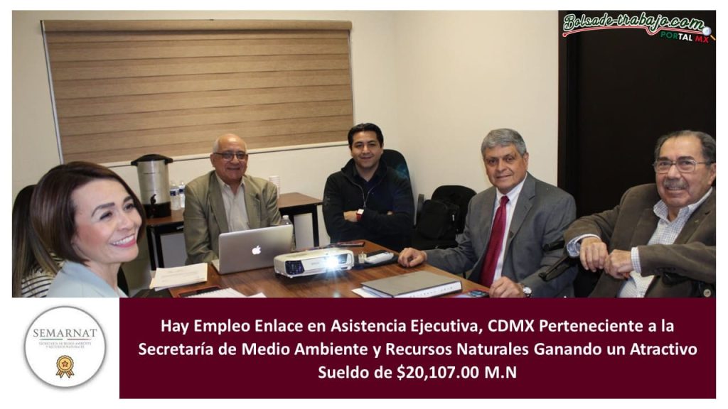 Empleo de Enlace en Asistencia Ejecutiva, CDMX