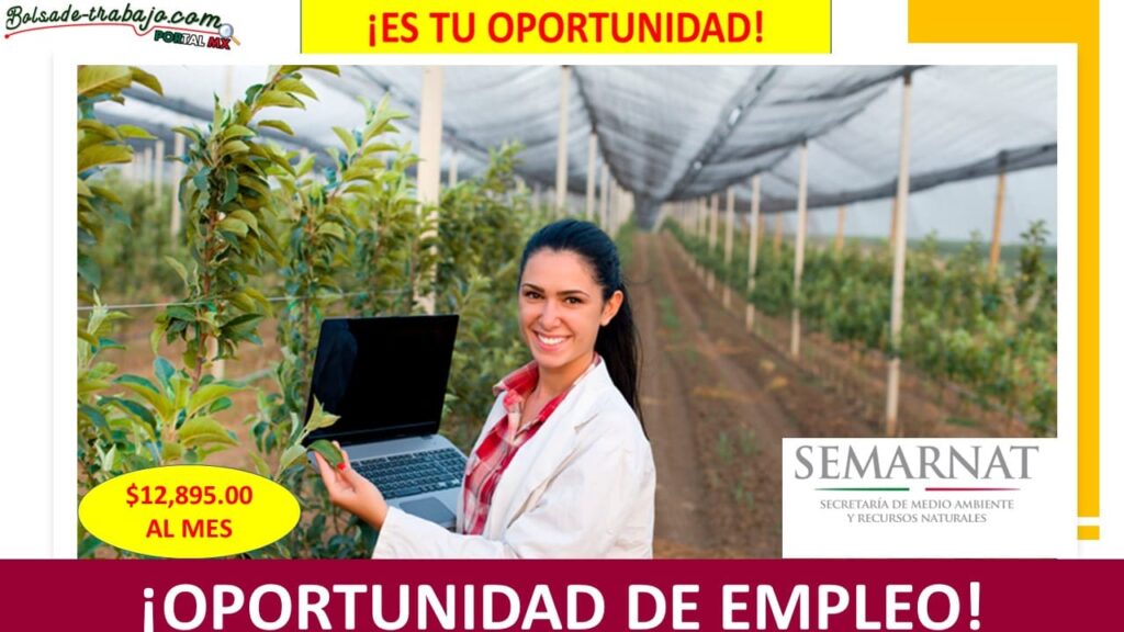 Empleo como Enlace Forestal en la Oficina Regional de Jalpan, Querétaro