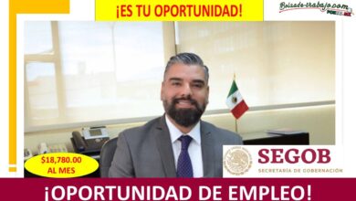 Empleo de Enlace Interinstitucional del Caso Ayotzinapa B