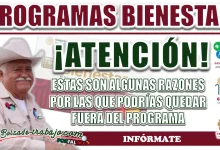 PROGRAMAS BIENESTAR| ¿CUÁLES SON LAS RAZONES POR LAS QUE ESTARÍA PODRÍA PERDER MI LUGAR EN EL PROGRAMA?