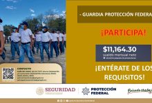 Convocatoria Guardia Protección Federal en Guasave, Sinaloa
