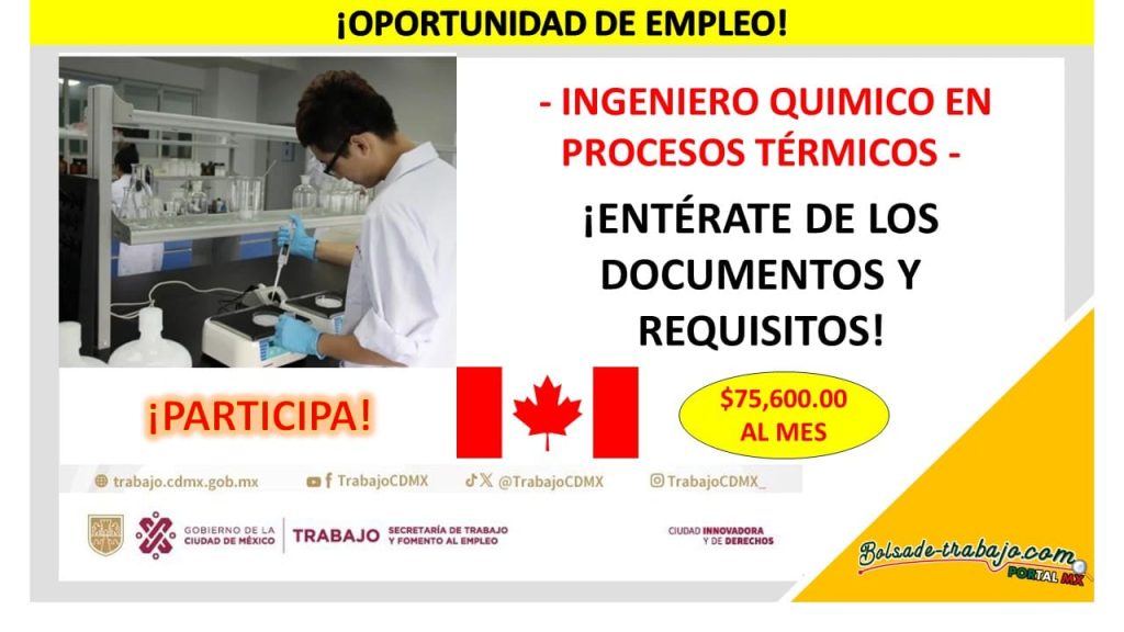 Empleo para Ingenieros Químicos en Procesos Térmicos