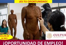 Empleo en Jefatura de Departamento de Culturas Indígenas, Ciudad de México