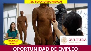 Empleo en Jefatura de Departamento de Culturas Indígenas, Ciudad de México