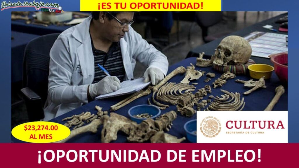 Empleo en Jefatura de Departamento Unidad Regional de Acayucan, Veracruz