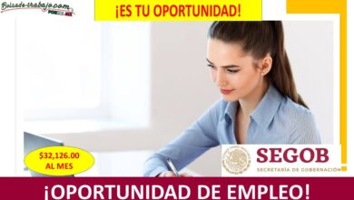 Empleo de Jefe de Departamento de Presupuesto y Soporte Técnico