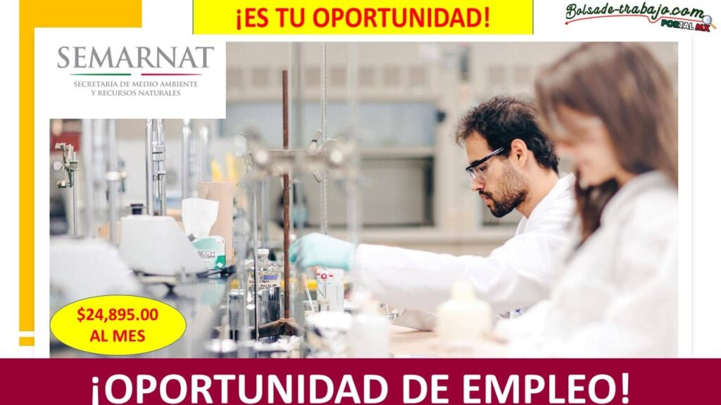 Empleo de Jefe de Departamento de Impacto y Riesgo Ambiental CDMX