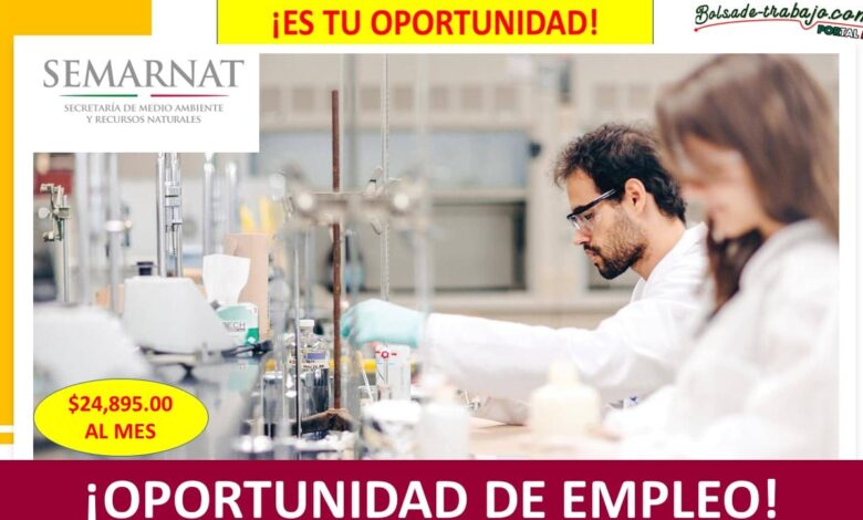 Empleo de Jefe de Departamento de Impacto y Riesgo Ambiental CDMX