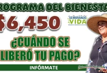 SEMBRANDO VIDA| ¿CUÁNDO SE LIBERÓ EL PAGO DEL MES DE FEBRERO?