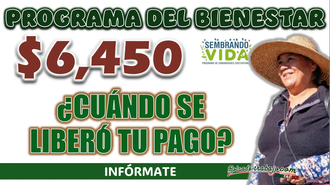 SEMBRANDO VIDA| ¿CUÁNDO SE LIBERÓ EL PAGO DEL MES DE FEBRERO?