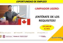 Empleo para Limpiador Ligero en CanadÃ¡