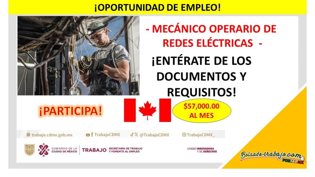 Empleo como Mecánico Operario de Redes Eléctricas, Canadá