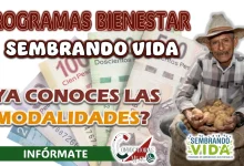 PROGRAMA BIENESTAR| CONOCE COMO PUEDES RECIBIR HASTA 6 MIL PESOTES