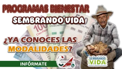 PROGRAMA BIENESTAR| CONOCE COMO PUEDES RECIBIR HASTA 6 MIL PESOTES