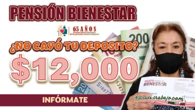 PENSIÓN BIENESTAR| SI NO CAYÓ MI DEPÓSITO, ¿QUÉ PUEDO HACER?