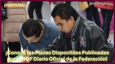 Plazas Disponibles Publicadas por el DOF