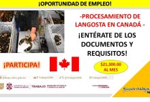 Empleo en Procesamiento de Langosta en Canadá
