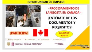 Empleo en Procesamiento de Langosta en Canadá