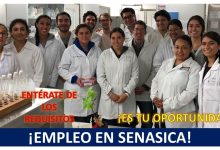 Empleo de Profesional Ejecutivo de Servicios Especializados en Jiutepec, Morelos