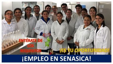 Empleo de Profesional Ejecutivo de Servicios Especializados en Jiutepec, Morelos