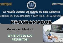 Convocatoria Programador en Mexicali de la FGE de Baja California