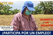 Empleo de Representante Estatal Fitozoonitario y de Inocuidad Agropecuaria Acuicola en Tepic