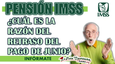 PENSIÓN IMSS| ¿CUÁL ES LA RAZÓN DEL RETRASO DEL PAGO DE JUNIO?