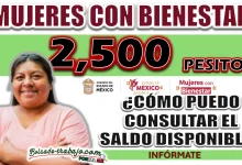 MUJERES CON BIENESTAR| ¿CÓMO PUEDO CONSULTAR EL SALDO DISPONIBLE?