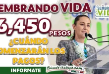 SEMBRANDO VIDA| ¿CUÁNDO COMENZARÁN LOS PAGOS PARA LOS BENEFICIARIOS?